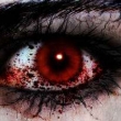 avatar Kayako