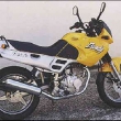 avatar dawidkujawa1