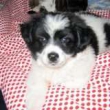 avatar migdal2