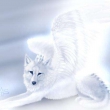 avatar Ainawen