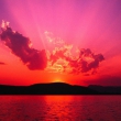 avatar AnFFusia