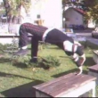 avatar kacylandia
