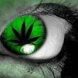 avatar KKrk