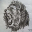 avatar Lion_1906