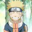 avatar Brajnereq