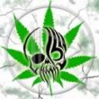 avatar cocaina314